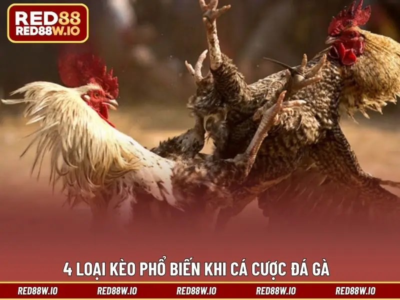 Cá Cược Đá Gà - Hình Thức Giải Trí Thú Vị Đáng Chơi - melagi