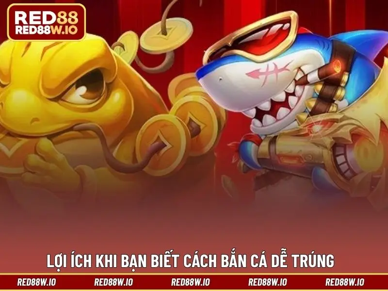 Cách Bắn Cá Dễ Trúng Ít Ai Biết Từ Các Ngư Thủ Lâu Năm - melagi
