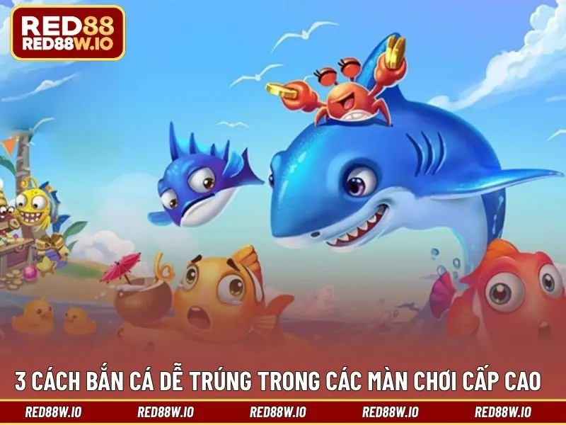 Cách Bắn Cá Dễ Trúng Ít Ai Biết Từ Các Ngư Thủ Lâu Năm - melagi