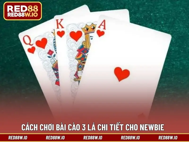 Cách Chơi Bài Cào 3 Lá Chi Tiết Và Dễ Hiểu Cho Newbie - melagi