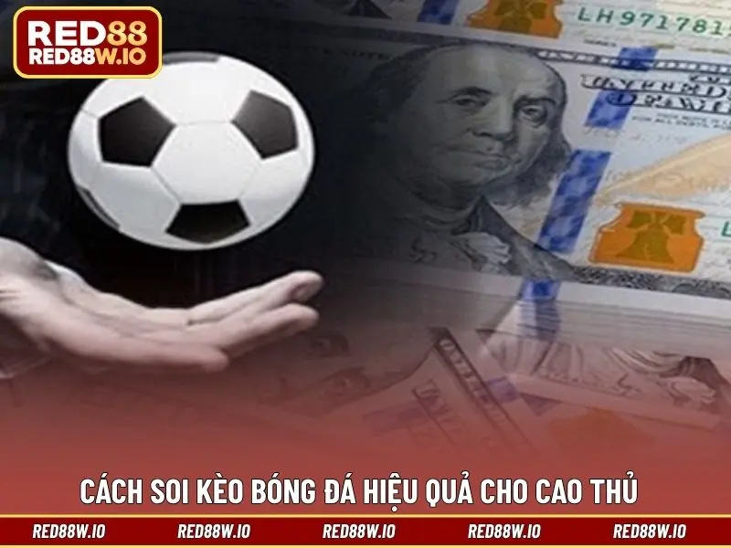 Cách Soi Kèo Bóng Đá Chi Tiết Từ Các Cao Thủ Lâu Năm - melagi