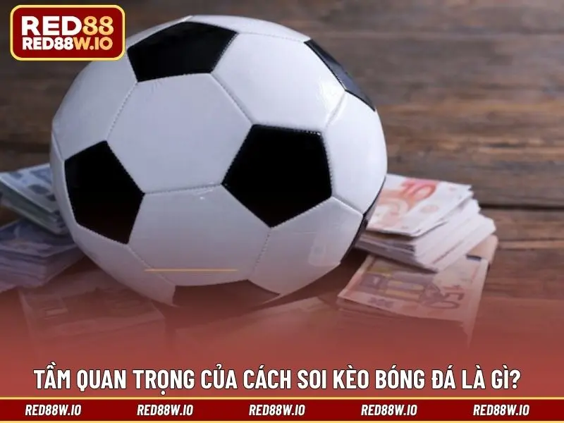 Cách Soi Kèo Bóng Đá Chi Tiết Từ Các Cao Thủ Lâu Năm - melagi
