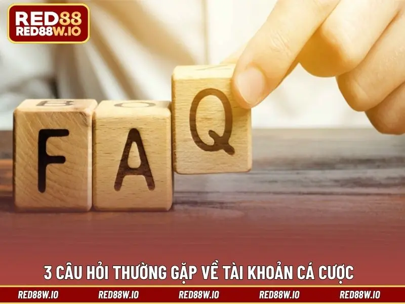 Câu Hỏi Thường Gặp – Tổng Hợp Thắc Mắc Tại Nền Tảng RED88 - melagi