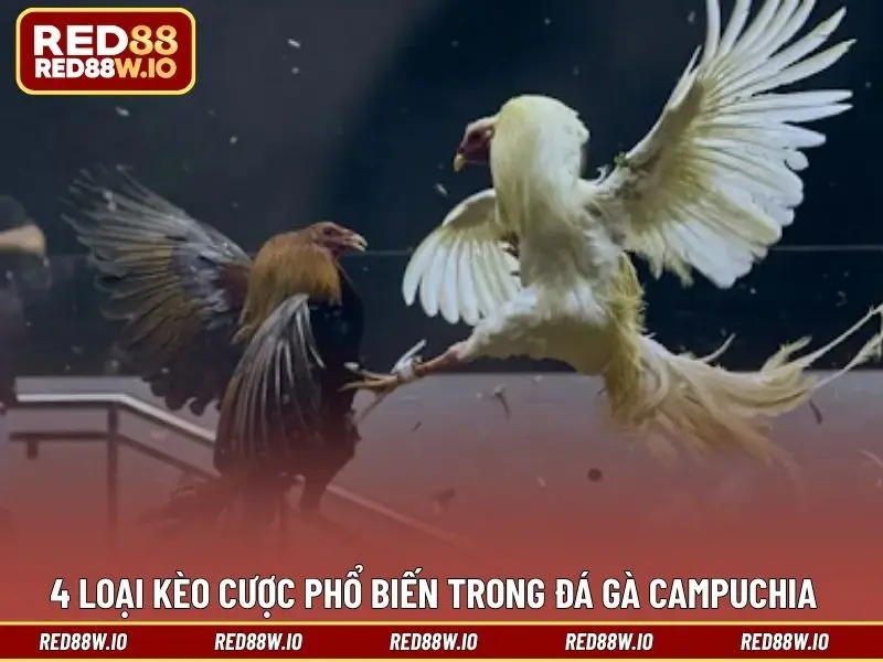 Đá Gà Campuchia – Hình Thức Giải Trí Thú Vị Và Hấp Dẫn - melagi