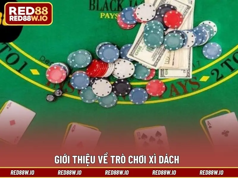 Luật Xì Dách Dễ Hiểu Dành Cho Tân Thủ Chơi Cá Cược - melagi