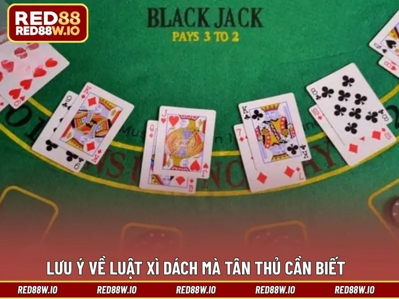 Luật Xì Dách Dễ Hiểu Dành Cho Tân Thủ Chơi Cá Cược - melagi