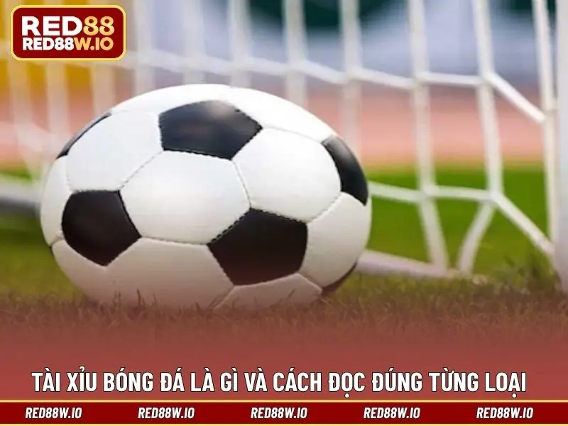 Tài Xỉu Bóng Đá - Hình Thức Cá Cược Thú Vị Cho Bet Thủ - melagi