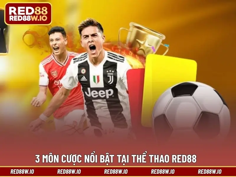 Thể Thao RED88 – Sảnh Chơi Cá Cược Thú Vị Và Hấp Dẫn - melagi