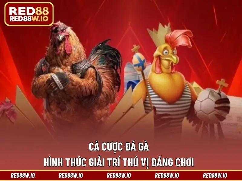 Kèo Đá Gà Phổ Biến Nhất Hiện Nay Tại Nhà Cái RED88 - melagi