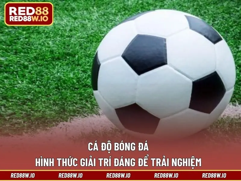Cáp Kèo Bóng Đá - Hình Thức Cá Cược Thú Vị Đáng Chơi - melagi