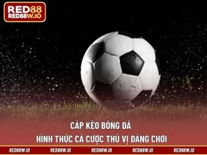 Thể Thao RED88 – Sảnh Chơi Cá Cược Thú Vị Và Hấp Dẫn - melagi