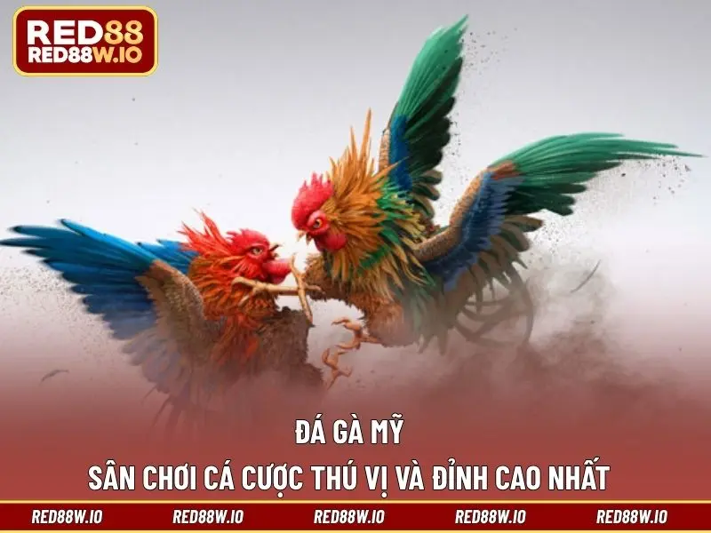 Kèo Đá Gà Phổ Biến Nhất Hiện Nay Tại Nhà Cái RED88 - melagi