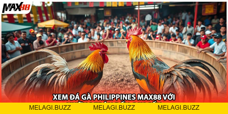 Sảnh Đá Gà Trực Tuyến Chi Tiết Nhất| Cẩm Nang Max88 - melagi